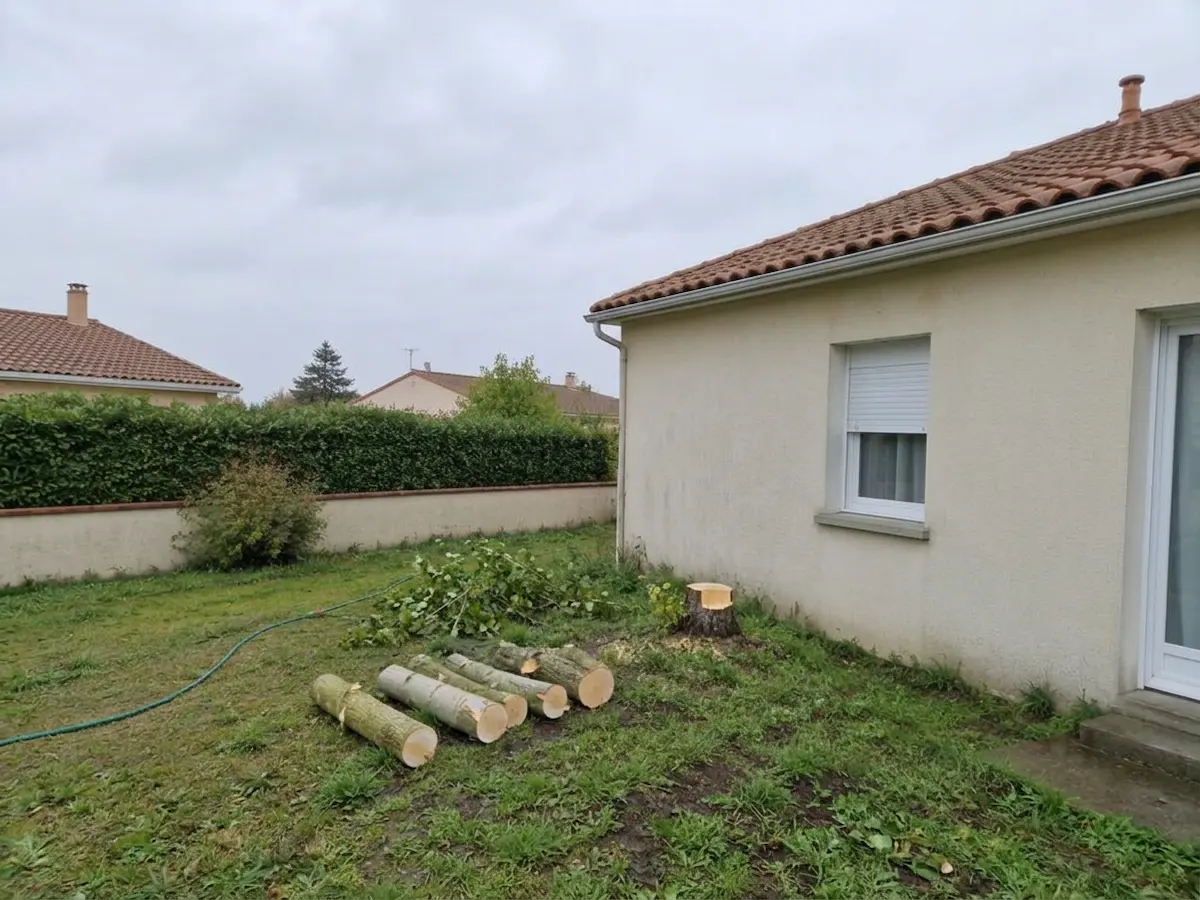 Emplacement de l'arbre, après abattage