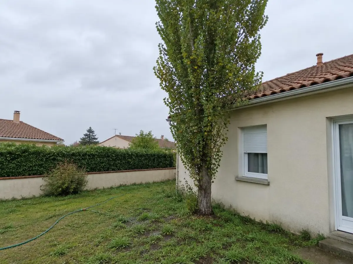 Arbre à abattre, avant