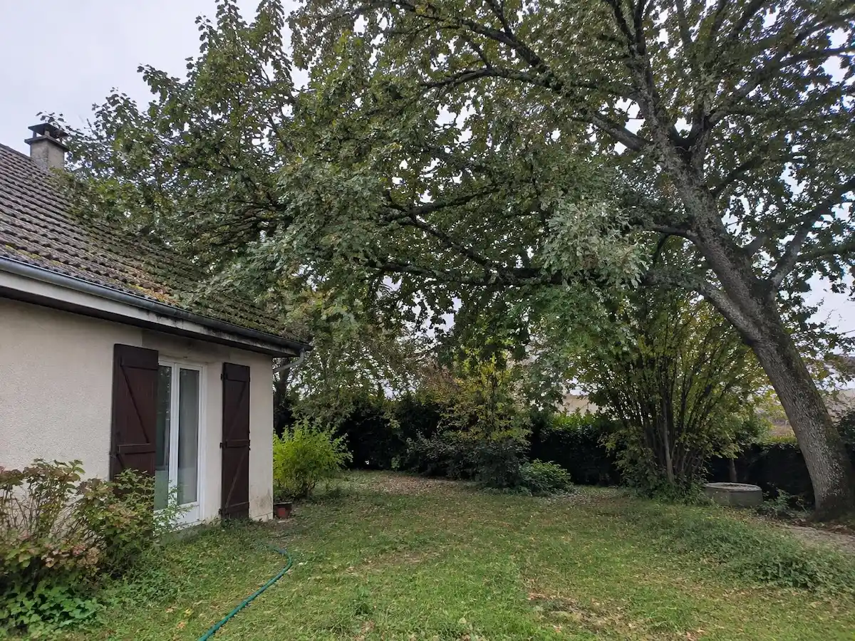 Chêne qui déborde sur le toit, avant élagage