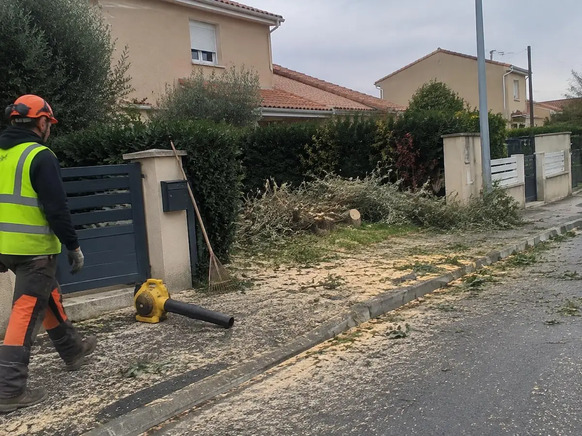 Tas de branches, avant évacuation