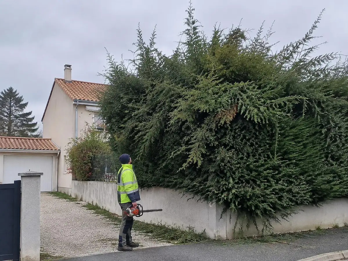 Haie trop haute, avant