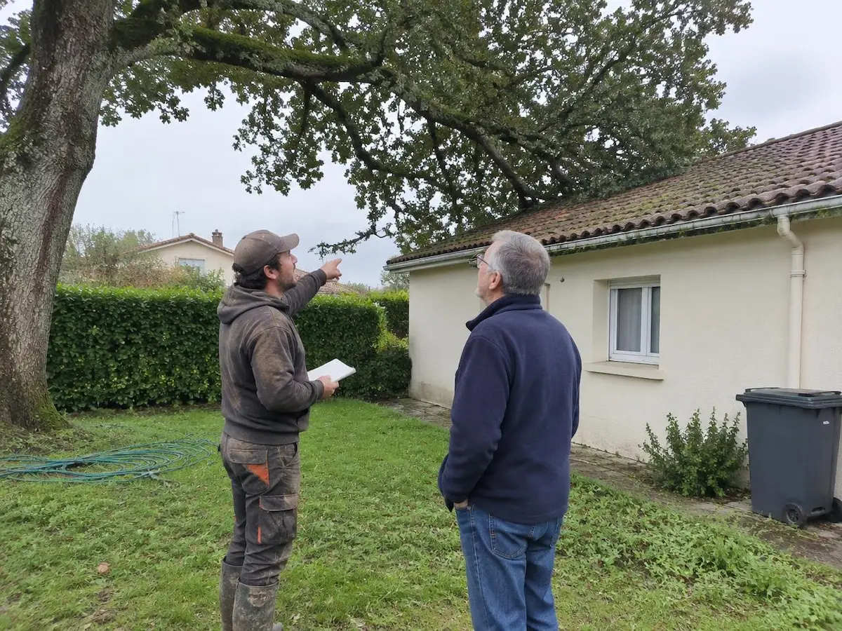 L'artisan conseille un client devant son arbre